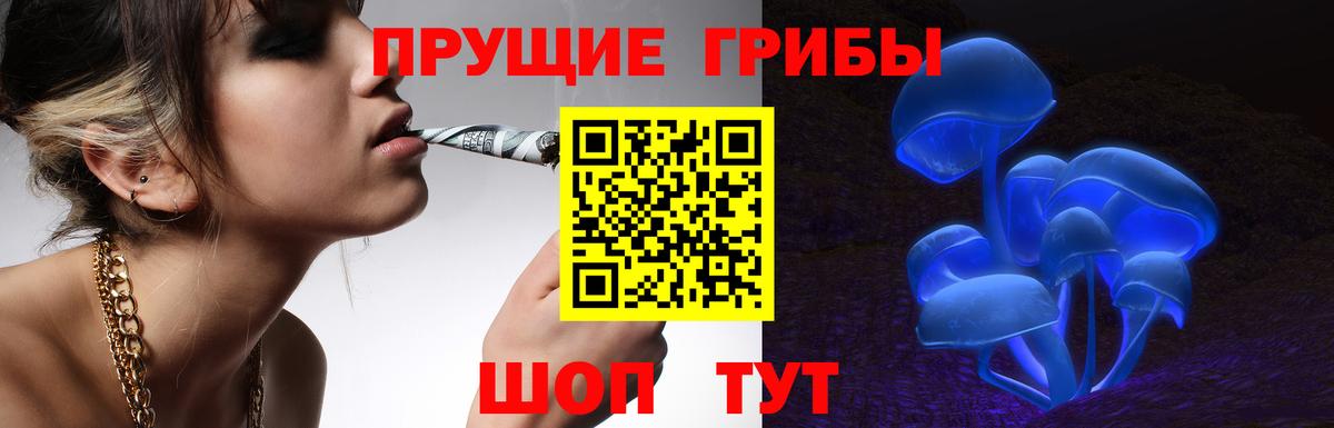 Псилоцибиновые грибы GOLDEN TEACHER  Вход с VPN  Трёхгорный 