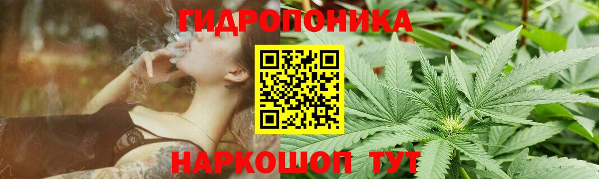 Бошки марихуана White Widow Трёхгорный